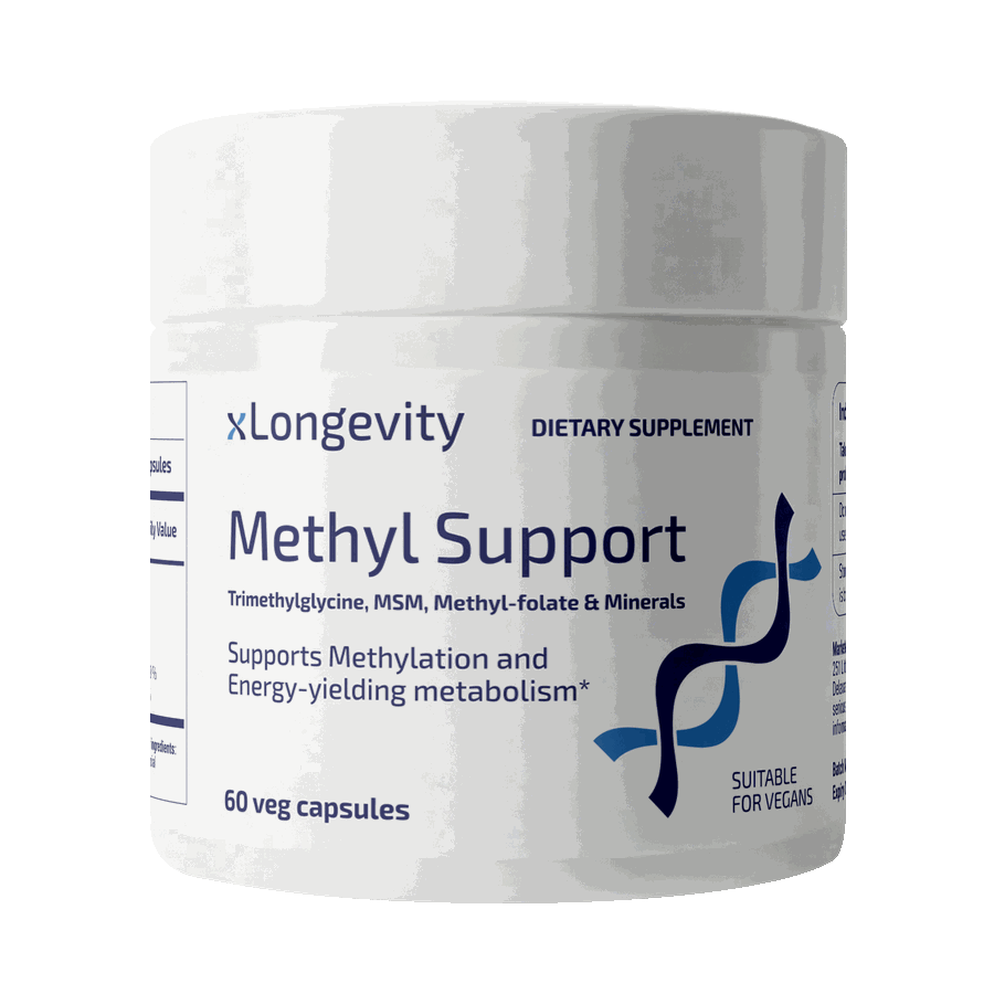 Methyl Support
